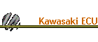 Kawasaki ECU
