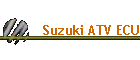 Suzuki ATV ECU